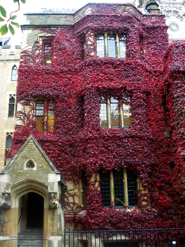 Осень - дом в красных листьях - вертикальный