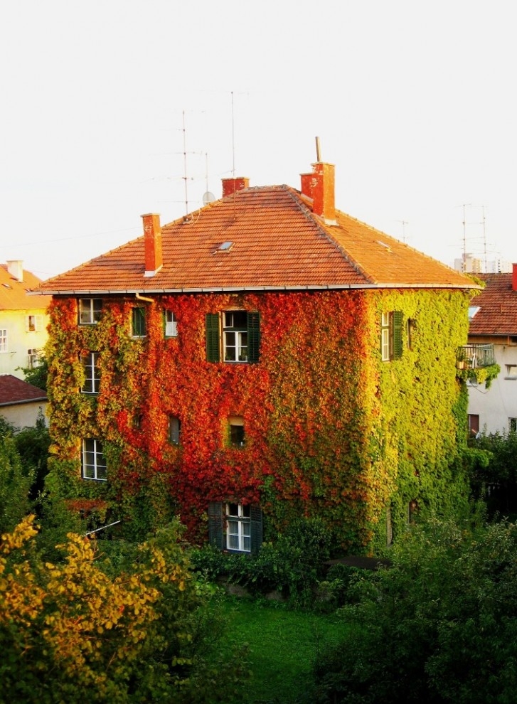 Осень - домик в цветах - вертикальный снимок
