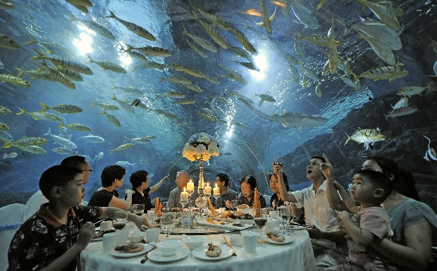 подводный ресторан - ум