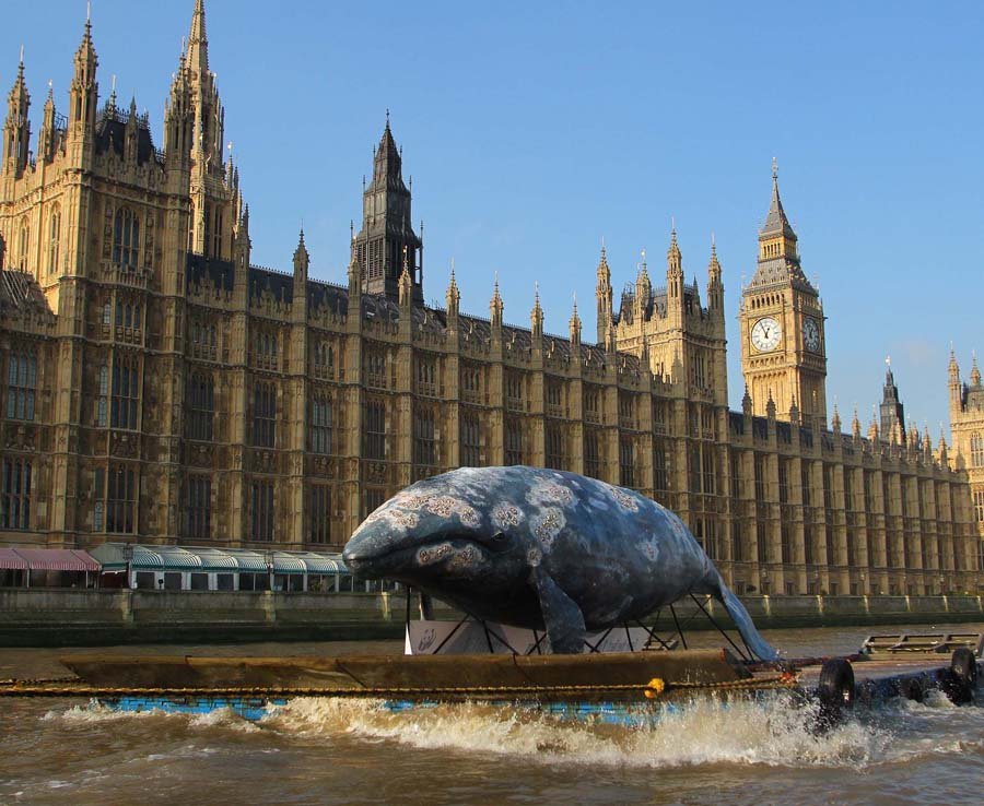 кит в лондоне