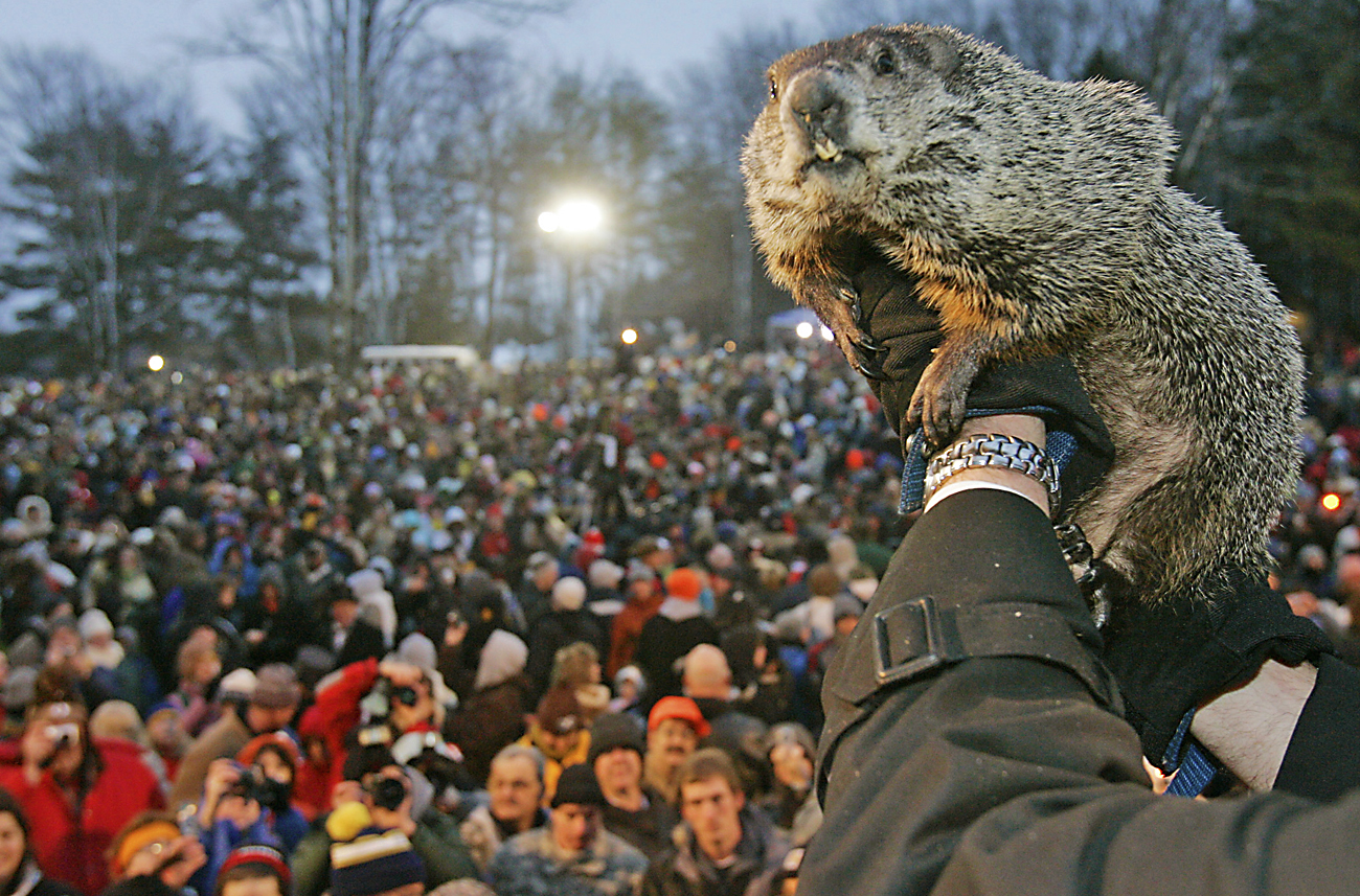 Сурок америка. Панксатонский Фил сурок. Groundhog Day праздник. День сурка фестиваль.